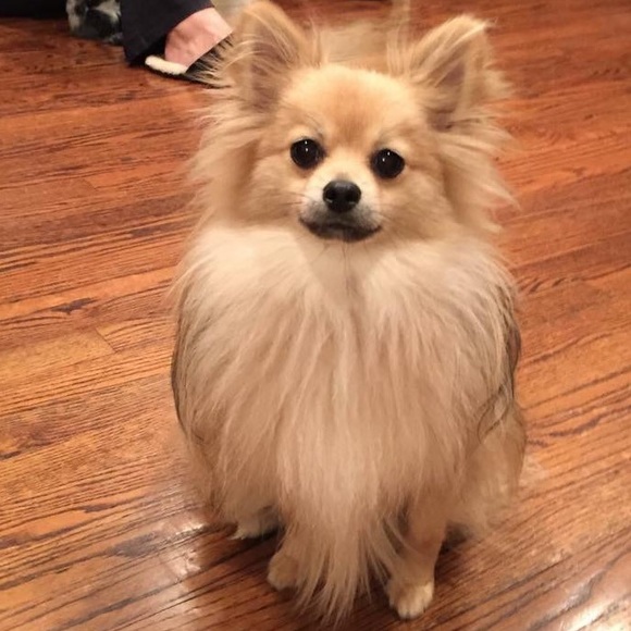 MTP - Picture 2 of 6